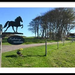 Kullabergs Islandshästar, eine Reitschule mit Islandpferden ...