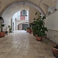 My courtyard tonight