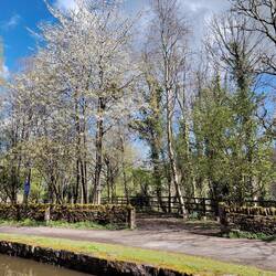 The 'Fairy Orchard' beside the towpath on the way back from Bugsworth
