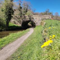 Leo and Tiger enjoyed relaxed walks along the quiet towpath while we enjoyed the scenery