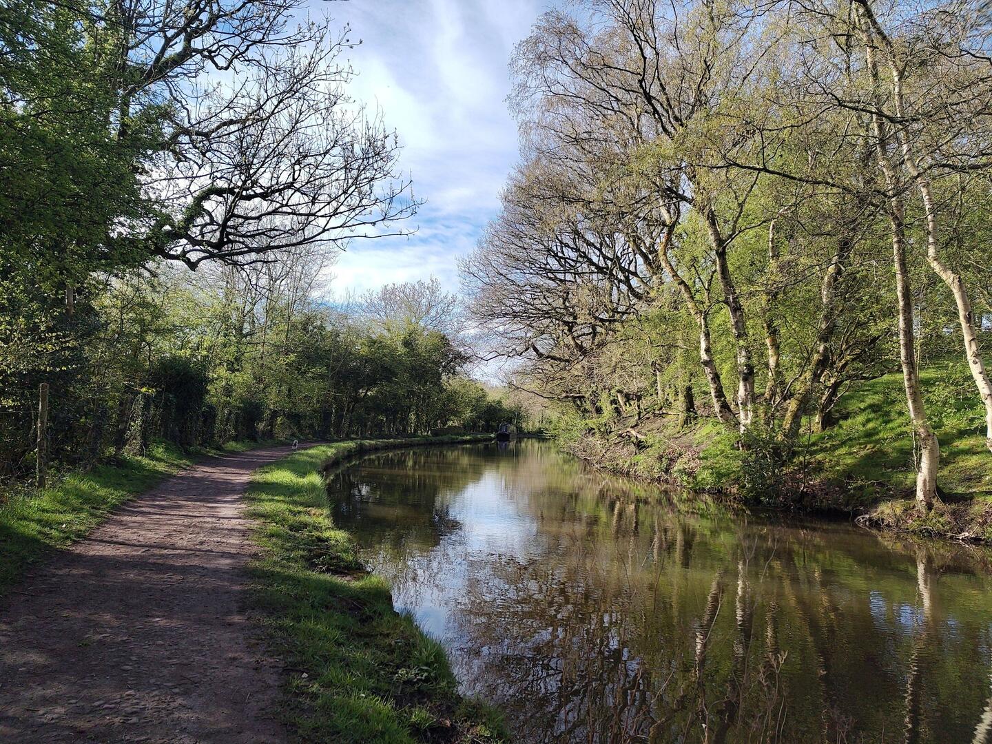 A camouflaged Rainboat moored opposite the bank of oak copse