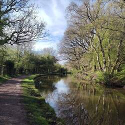 A camouflaged Rainboat moored opposite the bank of oak copse