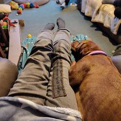 Elsie making sure Vicky wasn't missing out on furry cuddles while away from her brood