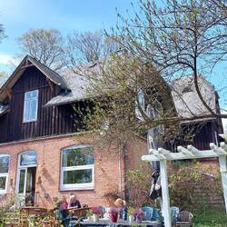 Meine Rettung vor dem Verhungern...