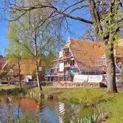 Bilder des Tages 🎥