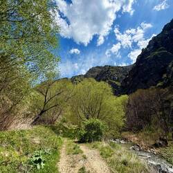 Canyon!