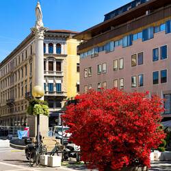 Azaleas brighten Piazza Garibaldi with a pop of red — Padova, Italy.
