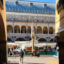 At Piazza dei Frutti, we're surprised to see a market in full swing — Padova, Italy.