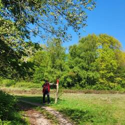 Die roten Pfosten zeigen in der Wahner Heide den Weg!