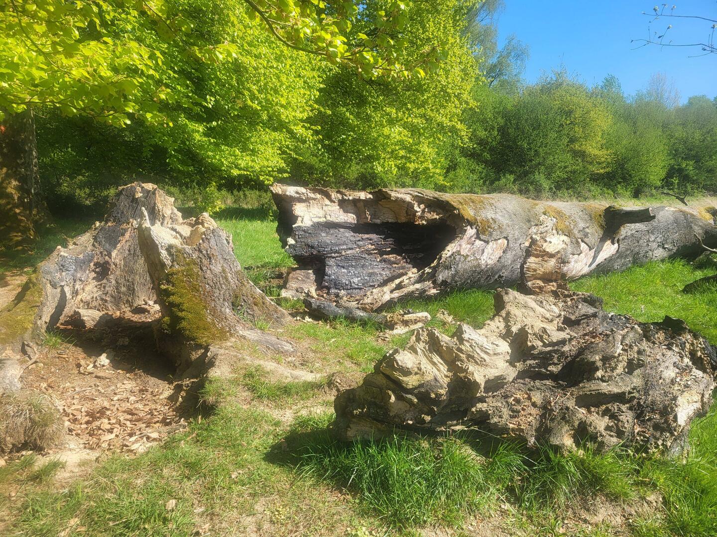 Improvisierter Pausenplatz in den Aggerauen.