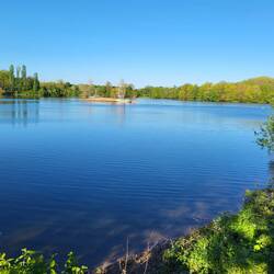 Der Sieglarer See.