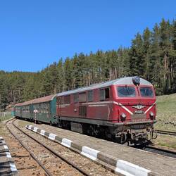 Die Schmalspurbahn