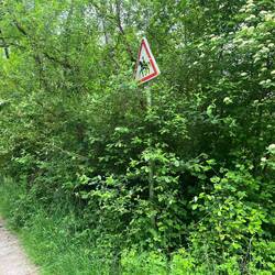 Find the trail marker