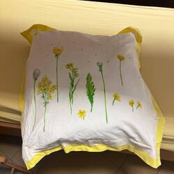 Pretty things in the gite