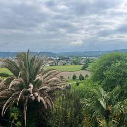 The view from the village