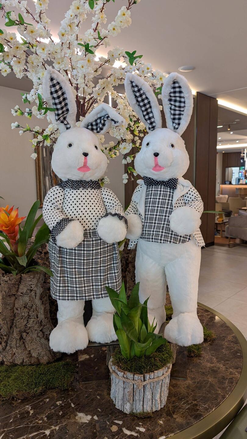 Hasenempfang im Hilton