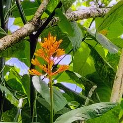 Farben und Formen 🤩