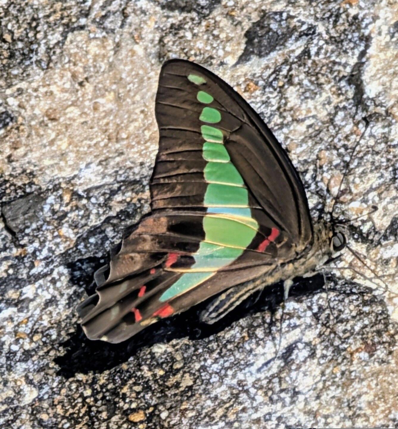 Letzter Gruß aus der Natur