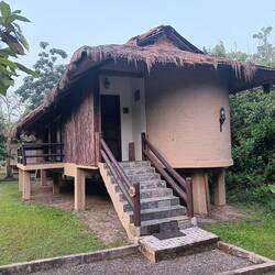 Our cabin with faux thatched roof - with occasional civet