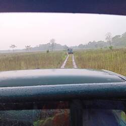 The jeep in front of us has sprouted umbrellas