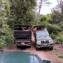 Traffic jam in the park