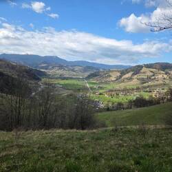 Views from our hike on the property
