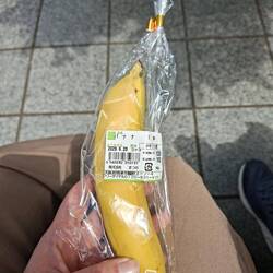 Wenn doch die Natur irgendwie einen Schutz für diese Frucht erfinden könnte....... 🤔🤔