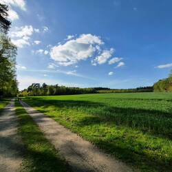 spaziergang in wildeshausen