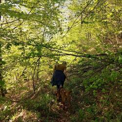 waldspaziergang in oberkochen mit survival-training