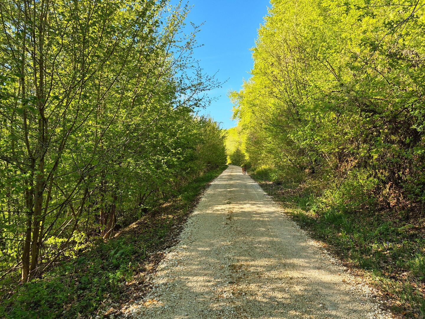 waldspaziergang in oberkochen