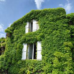 Some beautiful 'windows on the world' in Beauvais-sur-Matha