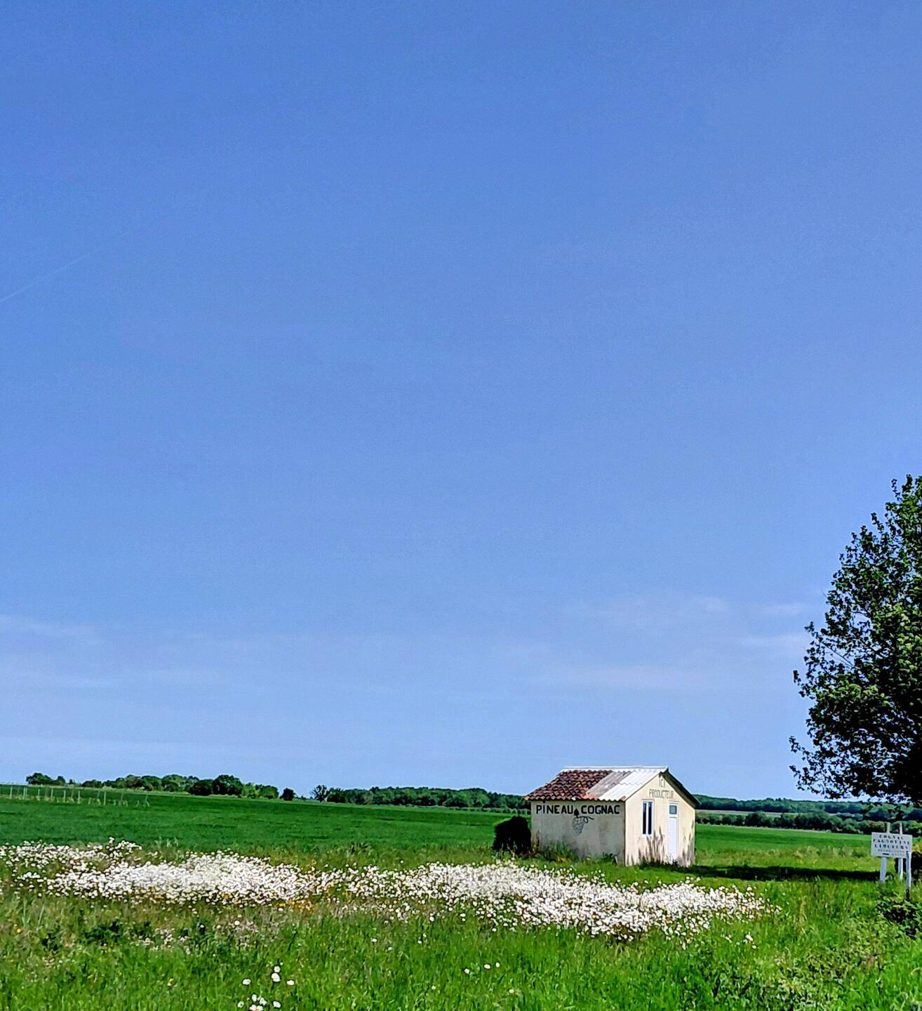 A small 'Pinneau du Cognac' roadside tasting house, open in the tourist season
