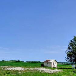 A small 'Pinneau du Cognac' roadside tasting house, open in the tourist season