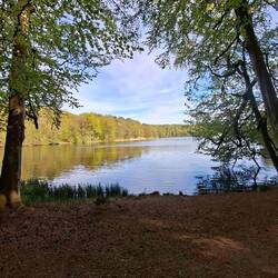 Wasser, überall Wasser