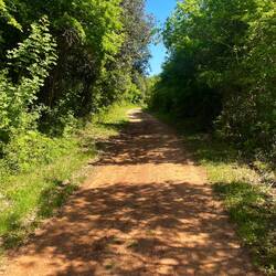 Et des chemins qui me font penser à l'Ardèche