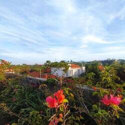 Morgenstimmung über Ubud