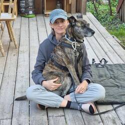 Unser "kleiner" Schosshund