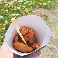 Gambero, granchio e alghe fritte