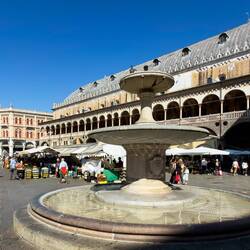 Palazzo della Ragione ... and the Fontanella di Piazza delle Erbe ... on market day — Padova, Italy.