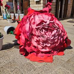 Street decorations in Corato