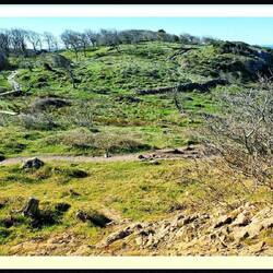 Wanderwege an der Küste....