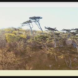 Die wilde Landschaft im Seitenlicht...