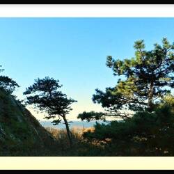 Wild und schön......