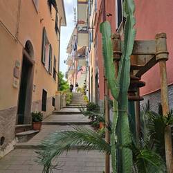 Gassen in Riomaggiore