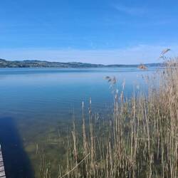 Ende Sempachersee