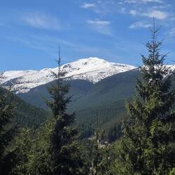 Rodna mountains