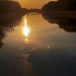 Die Drau