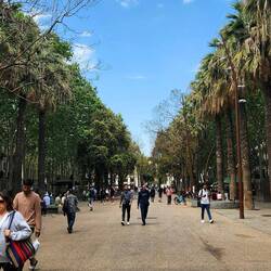 Nice pedestrian boulevards