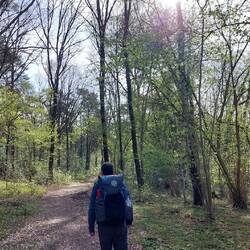 Es ging durch Wald...