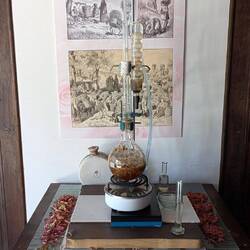 Destillation von Rosenwasser und Rosenöl